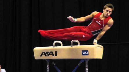 pommel horse